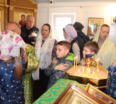 Вход Господень в Иерусалим. Вербное воскресенье.